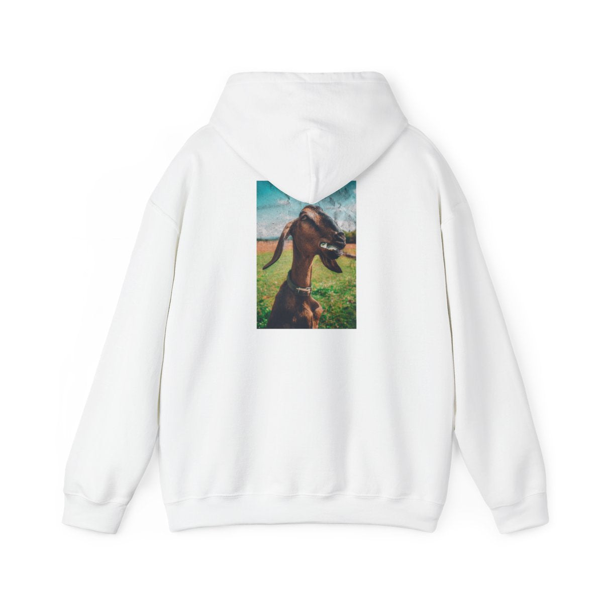G.O.A.T. Clothing Hoodie
