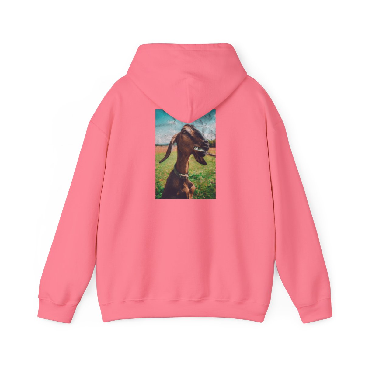 G.O.A.T. Clothing Hoodie