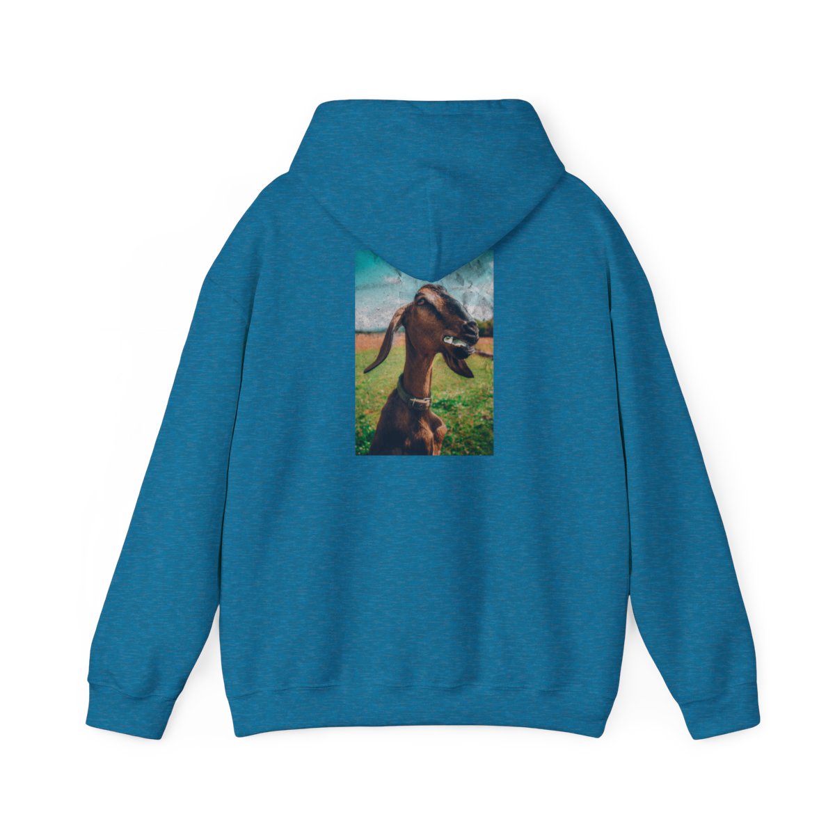 G.O.A.T. Clothing Hoodie