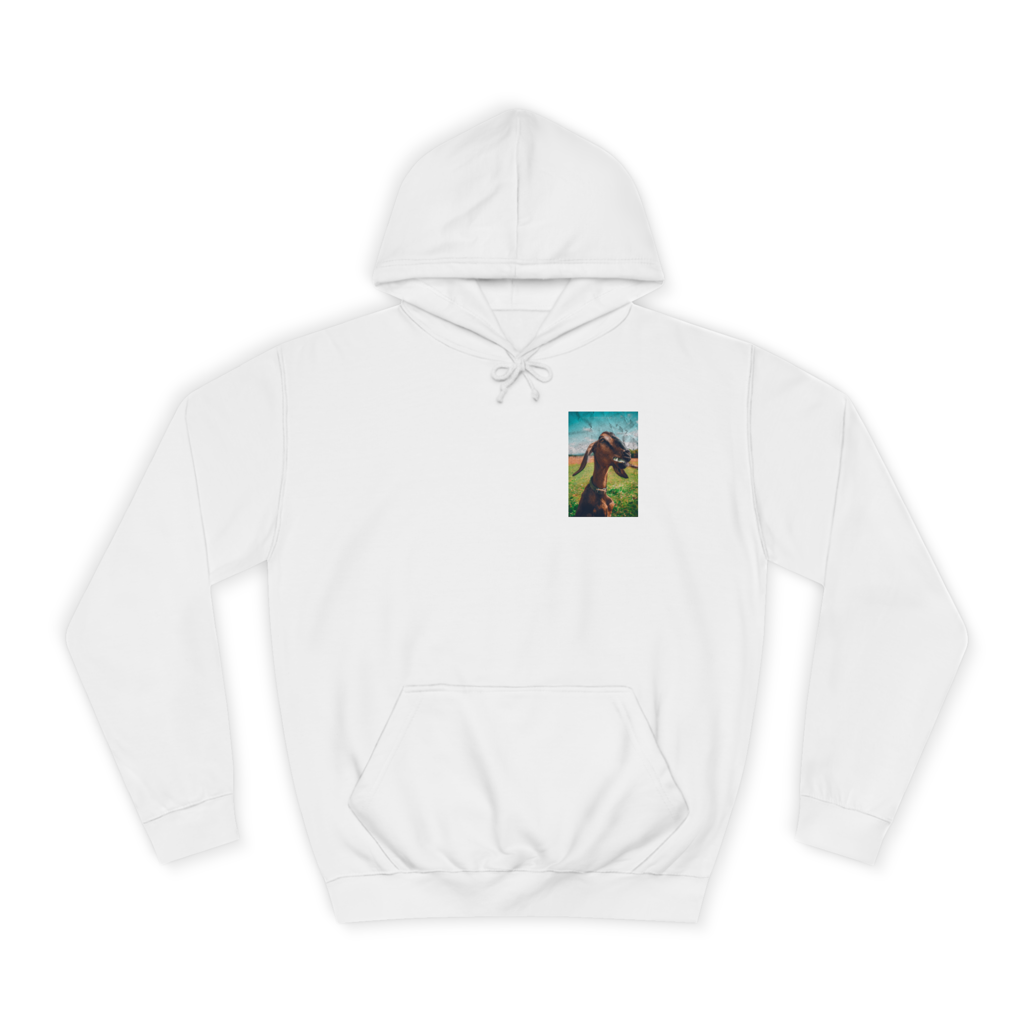G.O.A.T. Clothing 23' Hoodie
