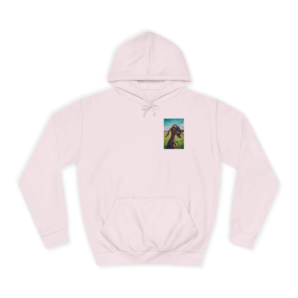 G.O.A.T. Clothing 23' Hoodie