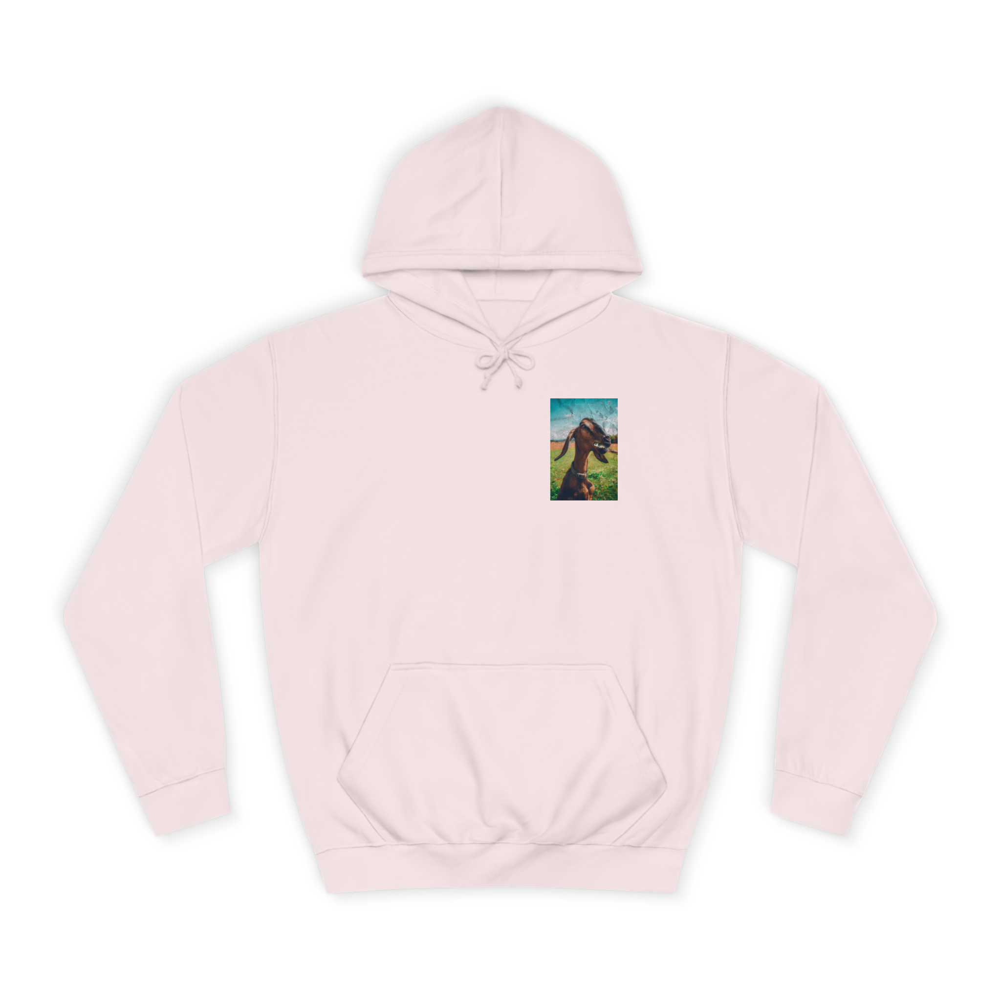 G.O.A.T. Clothing 23' Hoodie