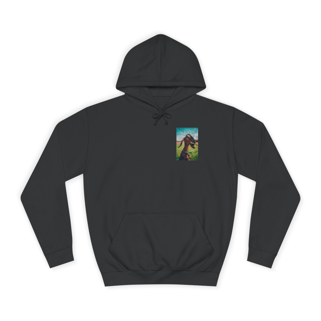 G.O.A.T. Clothing 23' Hoodie