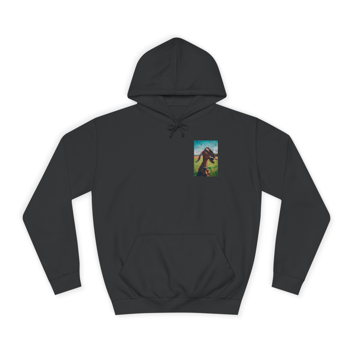 G.O.A.T. Clothing 23' Hoodie