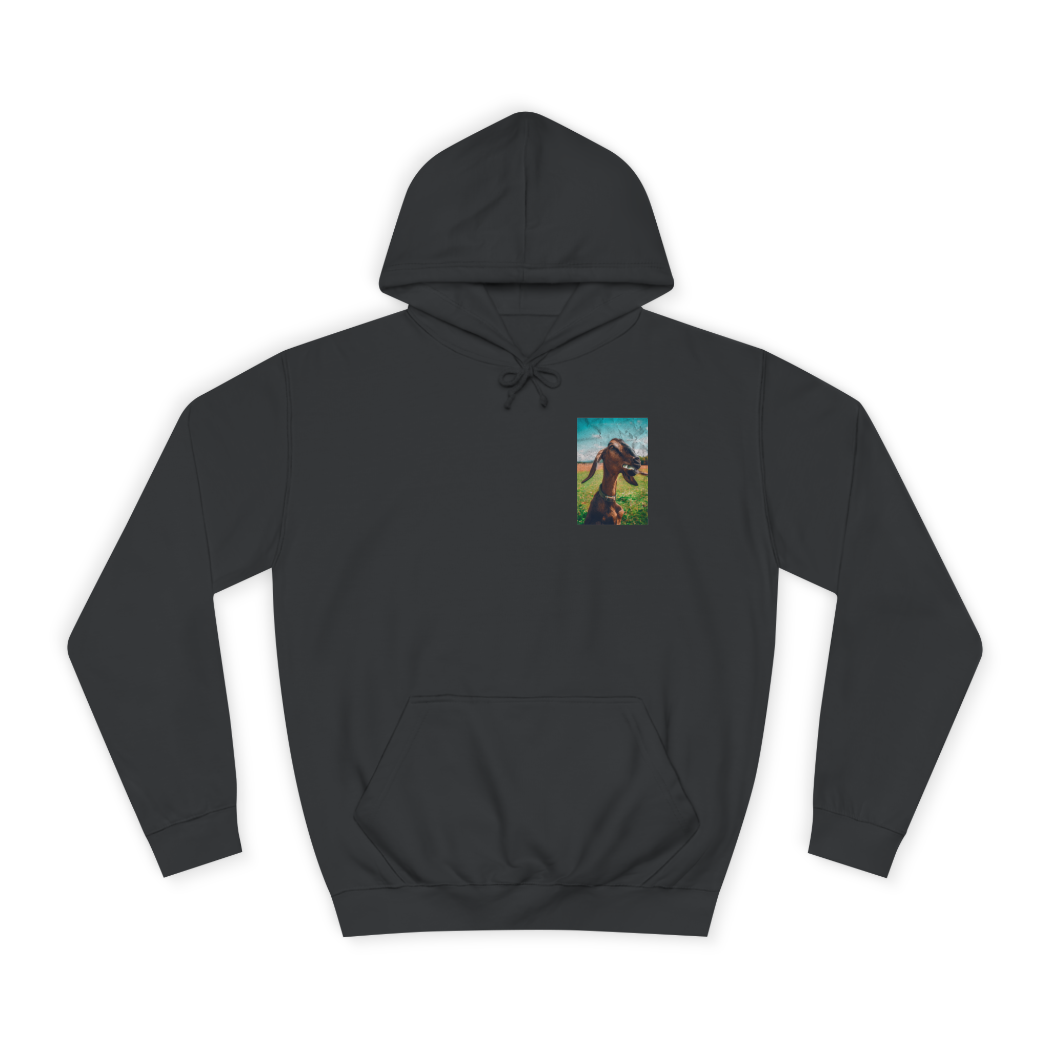 G.O.A.T. Clothing 23' Hoodie
